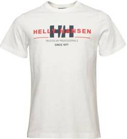 KOSZULKA MĘSKA HELLY HANSEN  CORE GRAPHIC T 53936 004